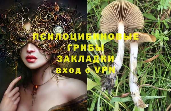 стаф Абаза