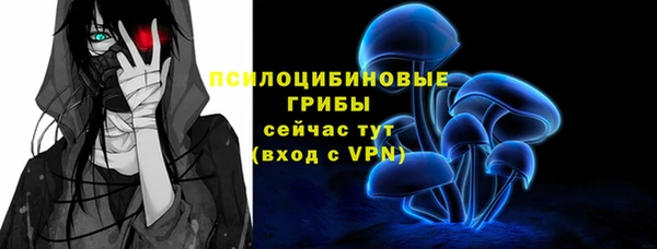 стаф Абаза