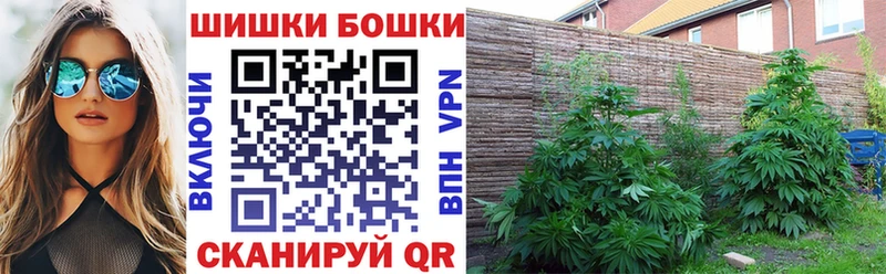 цена   Усолье  Канабис индика 